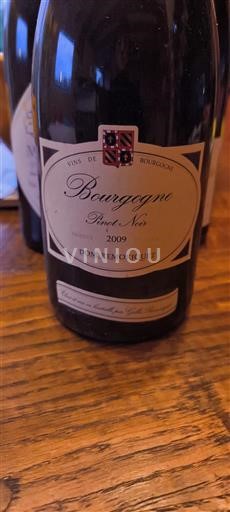 Burgundy Domaine Remoriquet 2009