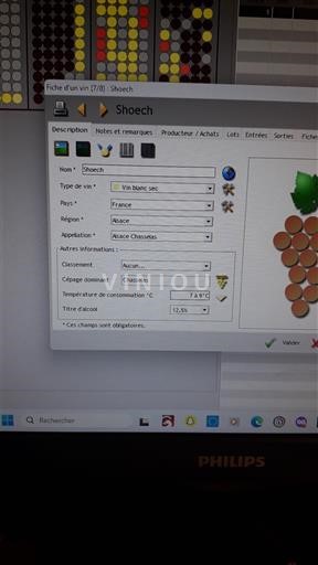 Alsace Chasselas Schoech Không niên vụ