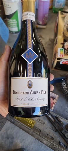 Burgund Crémant de Bourgogne Bouchard Aîné & Fils Brut de Chardonnay Ohne Jahrgang