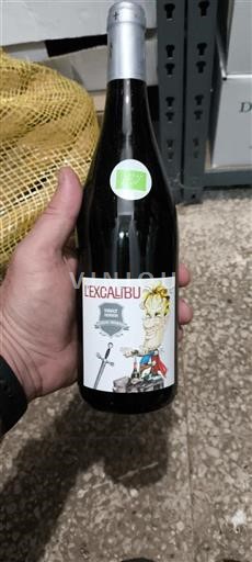 Loirevallei Chinon Domaine La Marinière L'Excalibu Niet-geïntegreerd
