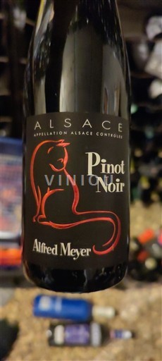 Elsass Alfred Meyer 2021