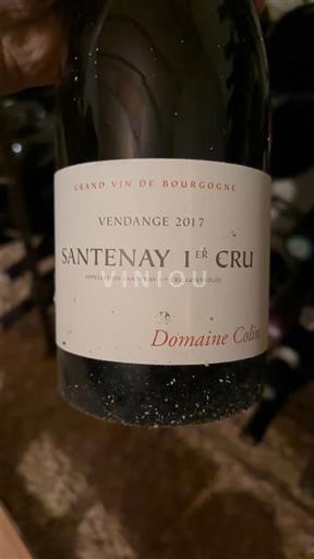 Borgoña Santenay Premier Cru Domaine Colin 2017