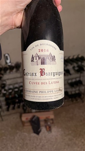 Borgoña Coteaux de Borgoña Domaine Philippe Livera des Lutins 2016