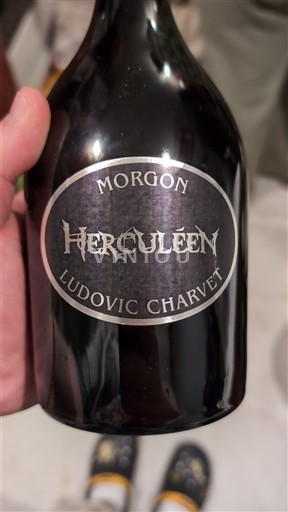 Beaujolais Morgon Ludovic Charvet Herculéen 2023