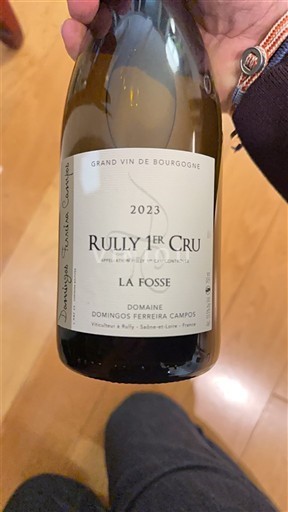 Bourgogne Ikke specificeret Premier Cru Domaine Domingos Ferreira Campos La Fosse 2023