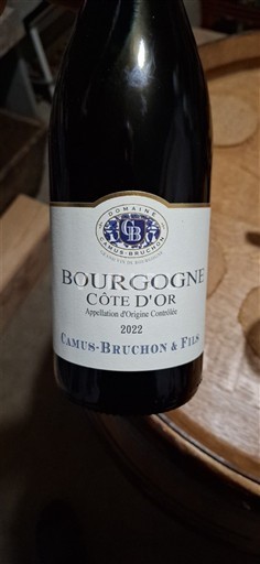 Burgundy Burgundy Côte d'Or Camus-Bruchon & Fils 2022