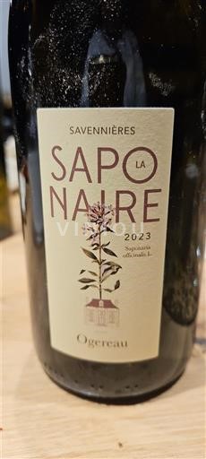 Loiren laakso Savennières Ogereau La Saponnaire 2023