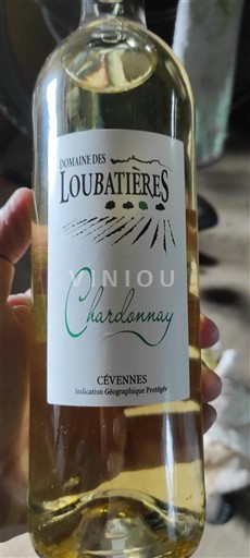 Languedoc und Roussillon Cévennen Domaine Des Loubatières Chardonnay 2023