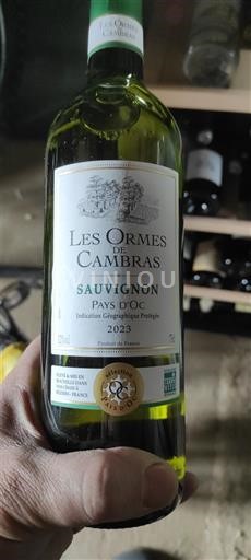 Languedoc-Roussillon Pays d'Oc Les Ormes de Cambras Sauvignon 2023