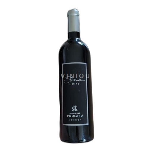 Beaujolais Morgon Domaine Pouillard Dame Noire 2023