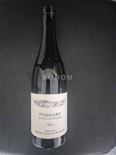 Bourgogne Pommard Domaine Henri & Gilles Buisson Les Petits Noizons 2021