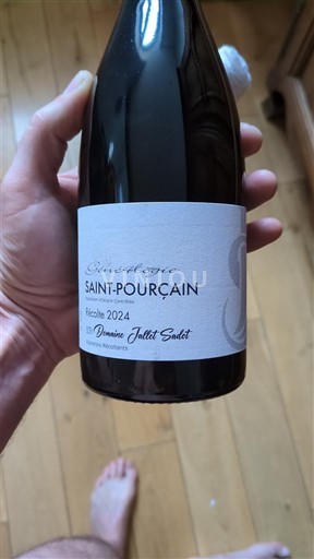 Dolina Loare Saint-Pourçain Domaine Jolivet Sedet Généalogie 2024