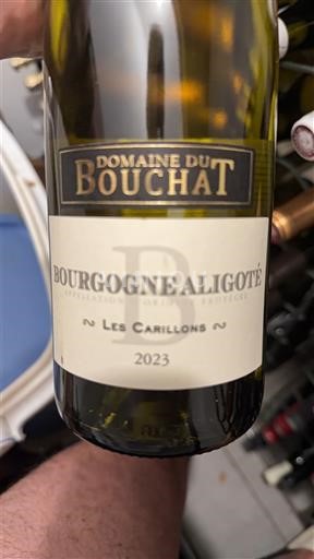 Bourgondië Bourgogne Aligoté Domaine Bouchat Les Carillons 2023