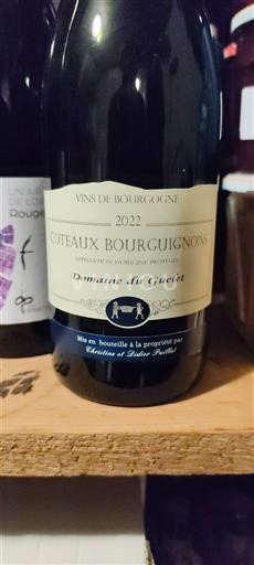 Borgoña Coteaux de Borgoña Domaine Guelet 2022