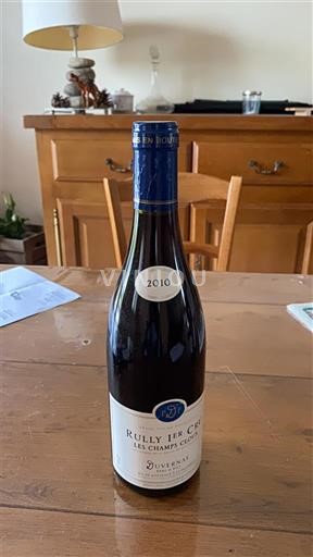 Burgundsko Rully Premier Cru Domaine Diveney Les Champs Cloux 2010