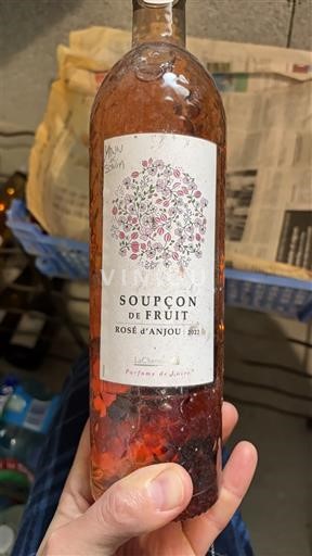 Loiren laakso Rosé d’Anjou Lacheteau Soupçon de fruit 2022