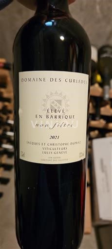 Ženeva Ni doloceno Domaine Des Curiades Élevé en barrique non filtré 2021