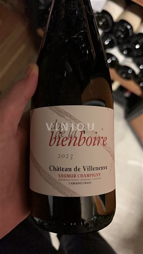 Valea Loarei Saumur-Champigny Château Villeneuve Clos de la Bienboire 2023