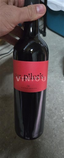 Sydvestfrankrig Madiran Château Montfin Sur Pilotis Ikke årgangsbestemt