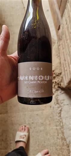 Burgundi Määrittelemätön A Chopin et Fils Les Champs Moutons 2008