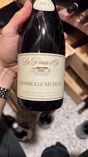 Burgundy Chambolle-Musigny La Pousse Or 2021