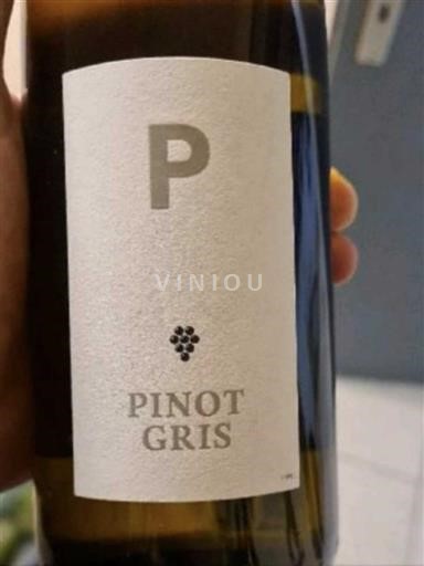 Elzas Pinot gris Aldi 2022
