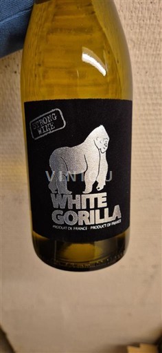 Sydväst Sudvästra Frankrike White Gorilla 2024