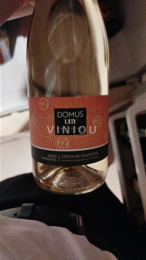 Jugozahod Côtes de Gascogne Domaine UBY Domus 2024