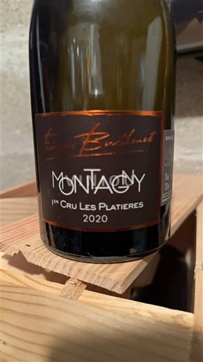 Bourgogne Ikke specificeret Premier Cru Emilien Baldinat 1er Cru Les Platières 2020