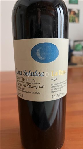 Emilia-Romagna Colli Piacentini La Tosa Luna Selvatica 2020