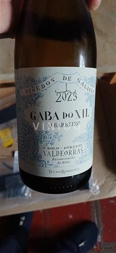 Vine Blanc sec Gaba do Xil O Barreiros Telmo Rodriguez 2023 Spanien Galicien Valdeorras DO