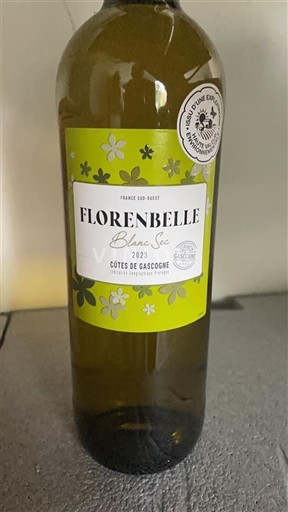 Jugozahod Côtes de Gascogne Floranelle Blanc Sec 2023