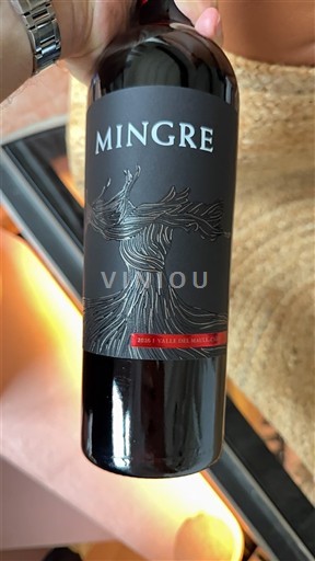 Thung lũng Maule J. Bouchon Mingre 2020