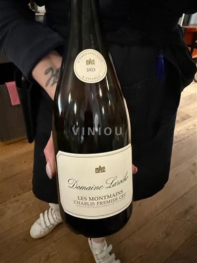 Burgundy Chablis Premier Cru Domaine Laroche Les Montmains 2023