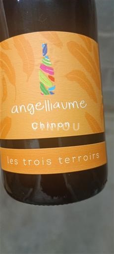 Loire-dalen Chinon Angelliaume Les Trois Terroirs 2023