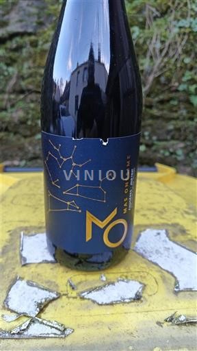 Languedoque Faugères Masonésime 2022