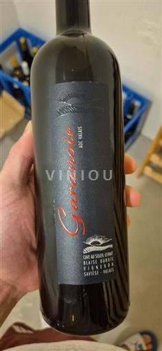 Wallis Nicht spezifiziert Cave du Soleil Levant Gamay noir 2024