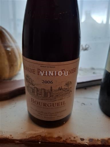 Loiren laakso Bourgueil Domaine Pressoir Flânerie 2006