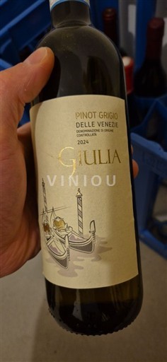 Wines of Veneto Delle Venezie Giulia 2024