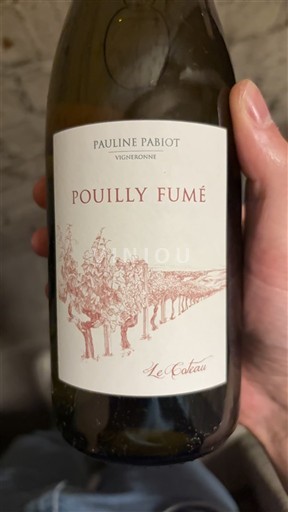 Vallée de la Loire Pouilly-fumé Pauline Pabiot Les Coteaux 2023