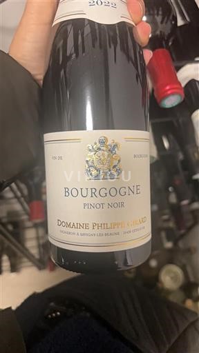 Burgundy Domaine Philippe Girard 2022