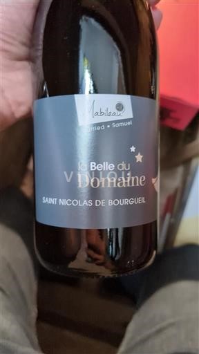 Údolí Loiry Saint-Nicolas-De-Bourgueil Labilleau La Belle du Domaine 2023