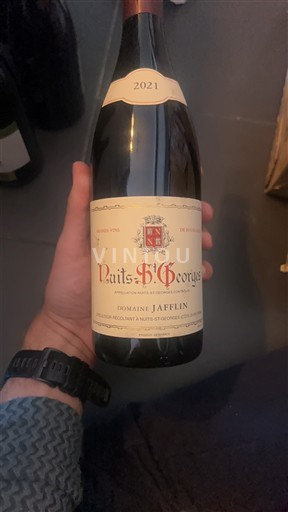 Bourgogne Nuits-saint-georges Domaine Jaffelin 2021