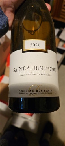 Borgoña San Aubin Premier Cru Domaine Duchemin 2020