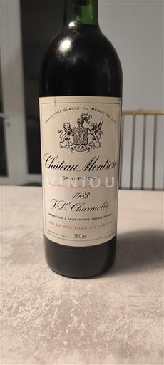 Bordeaux Saint-Estèphe Château Montrose 1983