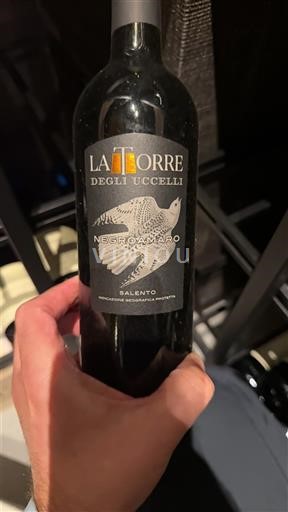 Puglia Susumaniello Salento La Torre degli Uccelli 2019