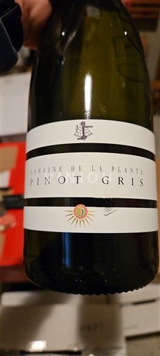 Ginebra Ginebra DOP Domaine La Planta Pinot gris 2022