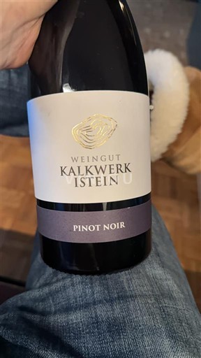 Baden Weingut Kalkwerk Istein Pinot Noir 2022