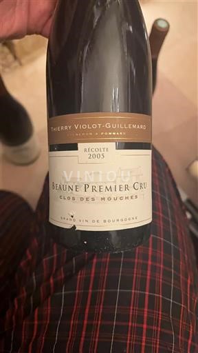 Burgundsko Beaune Premier Cru Thierry Violot-Guillemard Clos des Mouches 2005