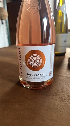 Loiren laakso Rosé d’Anjou Dumnacus 2023